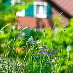 Jungfrau In See- Und Bergnaehe, Modern, Mit Balkon Und Aussicht Fuer 4 Gaeste * Spiez