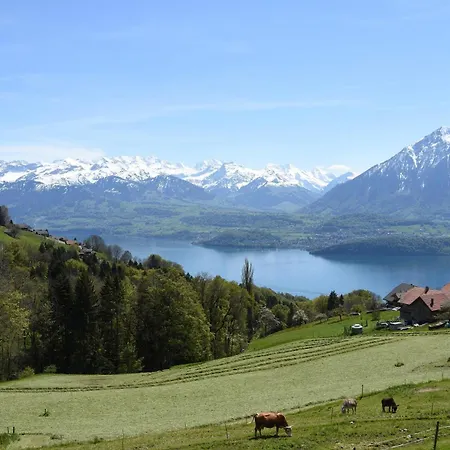 Jungfrau In See- Und Bergnaehe, Modern, Mit Balkon Und Aussicht Fuer 4 Gaeste Διαμέρισμα Spiez