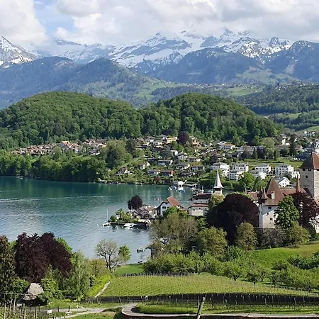 Apartment Jungfrau Near Lake And Mountain Apartment *