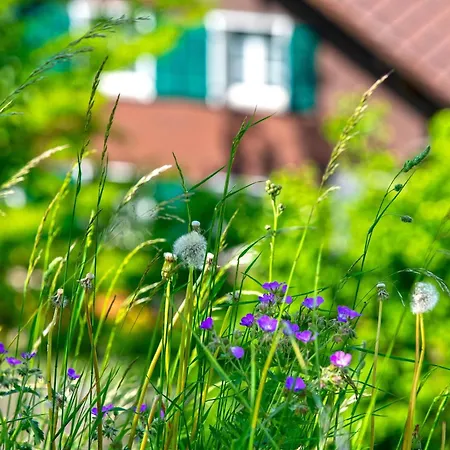 Jungfrau In See- Und Bergnaehe, Modern, Mit Balkon Und Aussicht Fuer 4 Gaeste * Spiez